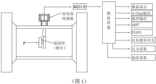 动差式靶式流量计工作原理图